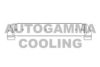 AUTOGAMMA 103899 Intercooler, charger